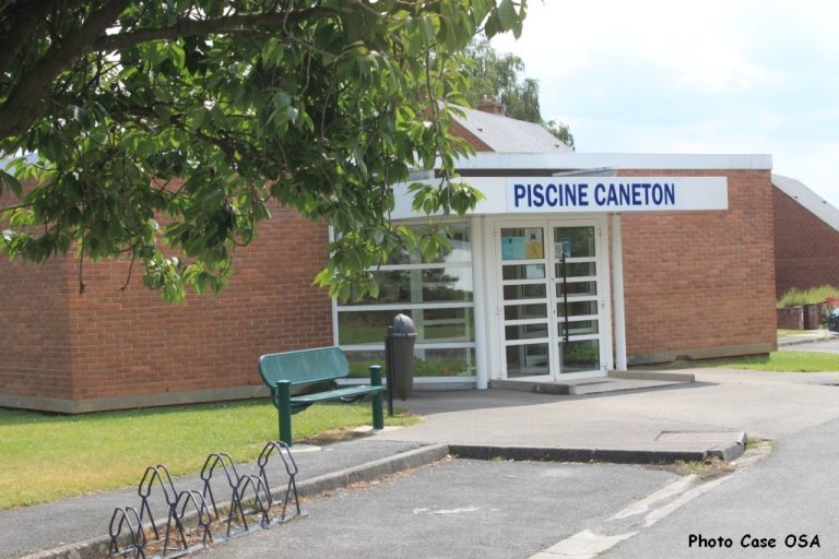 piscine-caneton