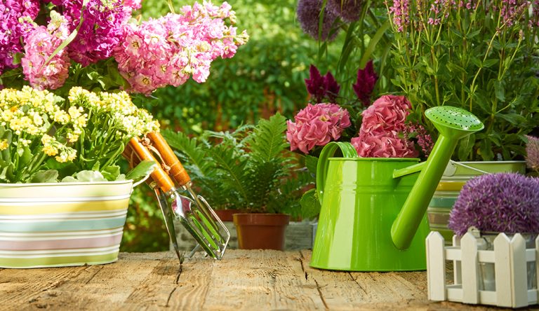 Gardening tools on wood table in the garden