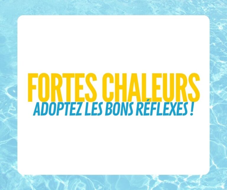 fortes chaleurs web